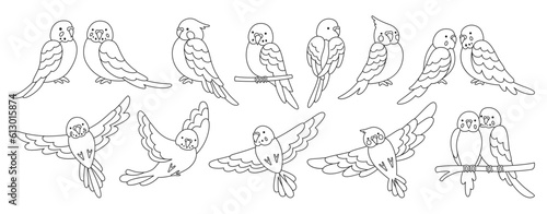 Parrot tropical doodle linear set. Summer wild exotic sitting and flying bird collection. Wildlife jungle Hawaiian cute parrots, funny pretty parakeet characters hand drawn vector illustration