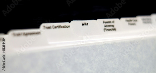 Estate Planning Documents with Tabs for Wills Power of Attorney and Trust