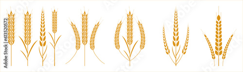 Wheat ears icon set collection isolated on transparent background. Farm fresh food or bakery themed wheat design elements.