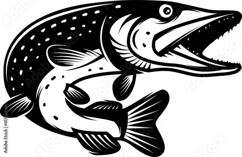 Illustration of pike fish in monochrome style. Pike fish isolated on white background