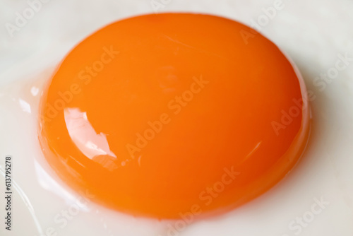 Closeup of Egg Yolk, a Good Source of High Quality Protein