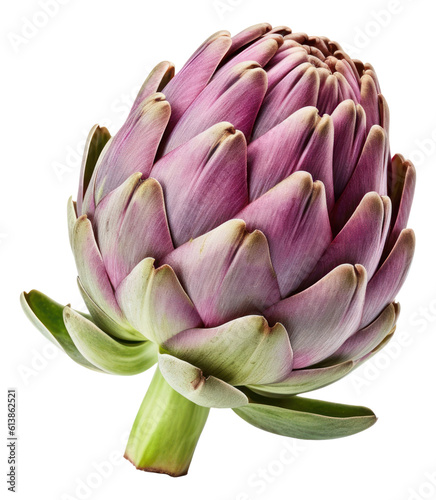 Fresh purple artichoke isolated. Generative AI.