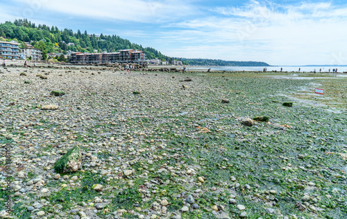 Low Tide At West Seattle 8