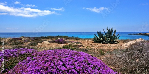 Image of Lampedusa Island nature reserve. Sicily, Italy