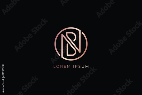 NB letter rose gold minimalist brand design modern style creative wordmark design typography illustration, nb fashion logo, nb golden