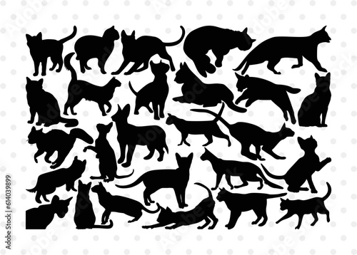 Cat Silhouette, Cat SVG, Feline Svg, Pussy Cat Svg, Mouser Cat Svg, Cat Bundle, SB00235