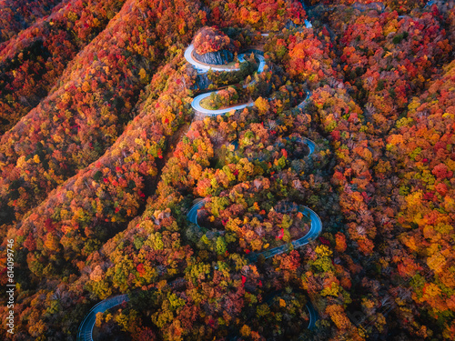 秋 紅葉のいろは坂 空撮