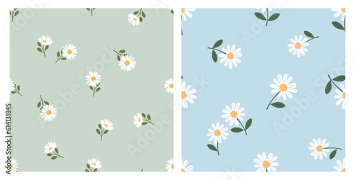 Seamless pattern of daisy flower with green leaves on green and blue backgrounds vector illustration. Cute floral print.
