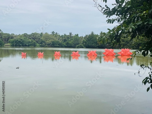 Flower Lantan on lake