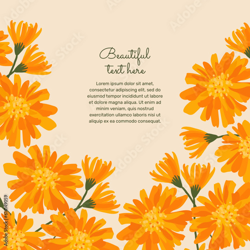 Background with blooming calendula and place for text. orange flowers on the background. herbal medicine.