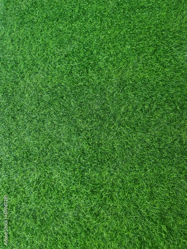 green grass pattern texture,green grass background ,top view background of grass garden, green backdrop, lawn for football field, golf course lawn,football