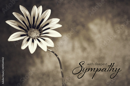 Sympathy card with gazania flower