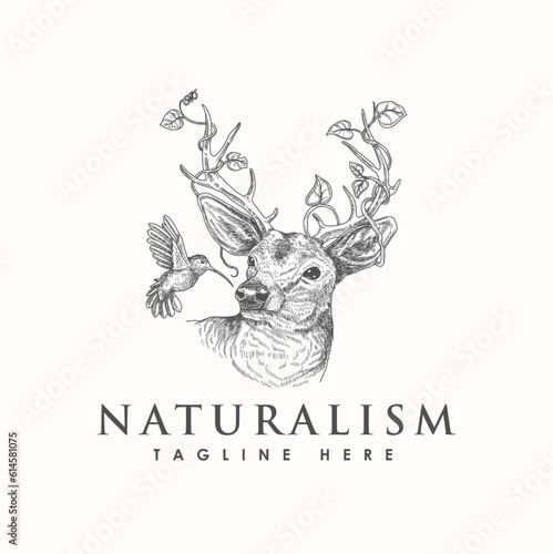 Natural Deer antelope bird hummingbird logo vintage hand drawn template