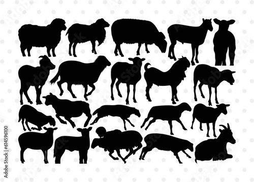 Sheep Silhouette, Sheep SVG, Buck Sheep Svg, Cheviot Sheep Svg, Columbia Sheep Svg, Rambouillet Sheep Svg, Female Bighorn Sheep Svg, Sheep Bundle, SB00318