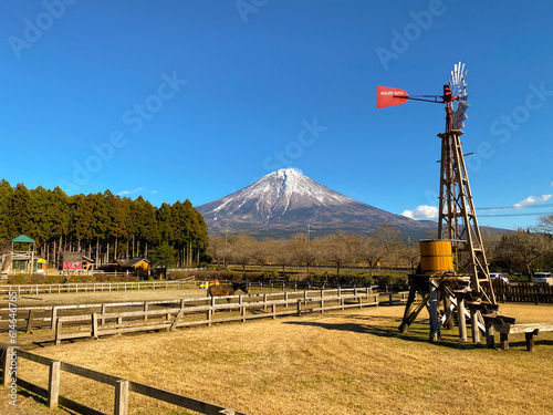 牧場の富士山