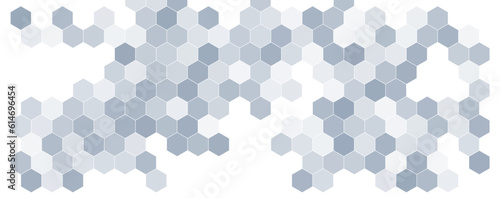 Hexagonal abstract technology grey background. Honeycomb science vector octagon texture hexagon pattern.