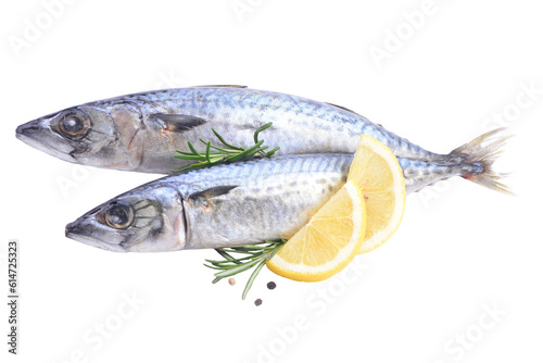 Fish mackerel isolated 