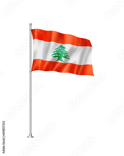 Lebanese flag isolated on white