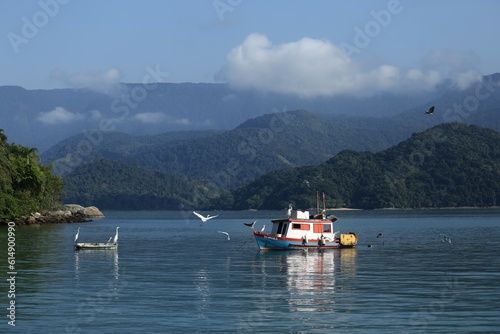 Uma cena apaixonante na Baía de Paraty, onde uma traineira de pesca é graciosamente sobrevoada por aves marinhas. Entitulada Patrimônio Mundial pela UNESCO, oferece um cenário de tirar o fôlego.