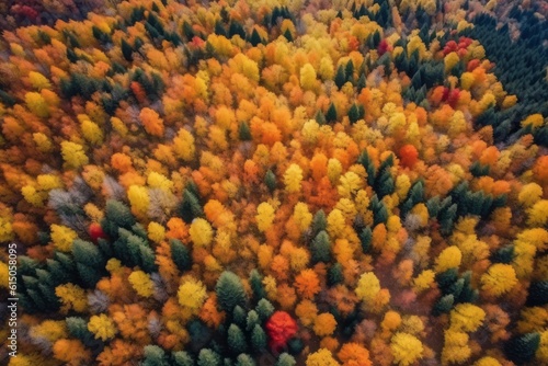 Aerial shot of breathtaking view of landscapes covered in a patchwork of vibrant autumn foliage, offering a unique perspective on the beauty of the season. Generative AI