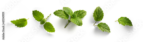 fresh mint leaves collection with real transparent shadow isolated on transparent background; png food design element