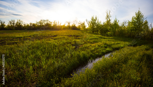 green forest glade with ground road at the sunset