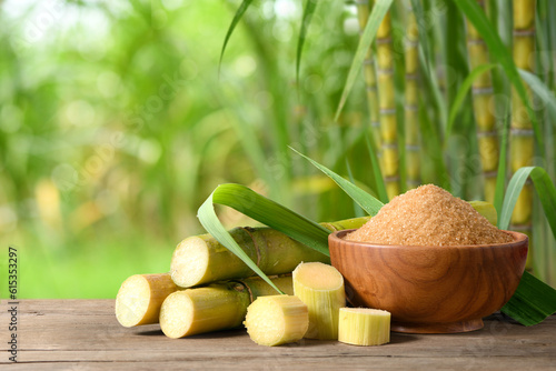 Brown sugar with fresh sugar cane on wooden table with sugar cane plantation farming background.