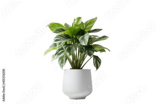 Modern House Plant with White Pot on Transparent Background. AI