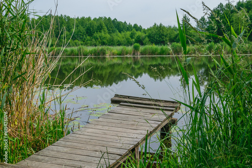 Pomost drewniany wystający nad taflę wody, otoczony zielenią traw i drzew