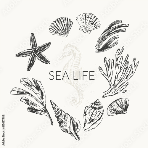 Vector ocean nature background. with sketches of seashells