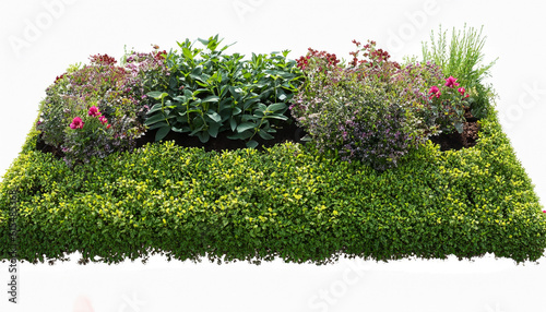 Cut out flowerbed. Plants and flowers isolated on white background. Flower bed for garden design or landscaping. High quality image for professional composition.