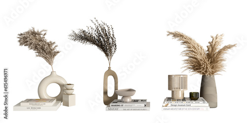  Dried flower in vase on white background