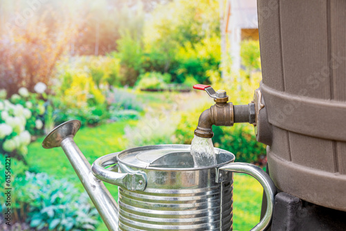 Filling watering can with water from rain barrel. Water conservation, gardening and rainwater collection. 