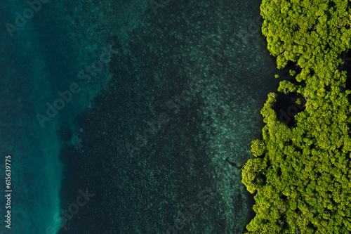 Beautiful Mangrove island landscape and scenery during blue sky, sunrise and sunset from aerial view