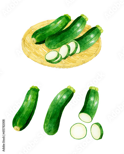 ズッキーニのセット 夏野菜の手描き水彩イラスト素材集