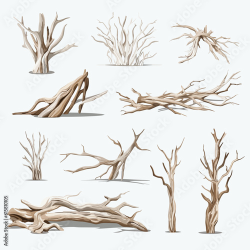 Driftwood vector set isolated on white