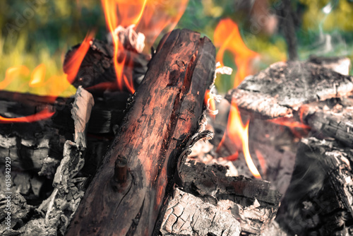 Burning firewood in a campfire, close-up.