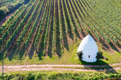 Aerial view of a trullo in the vineyards near Uffhofen/Germany