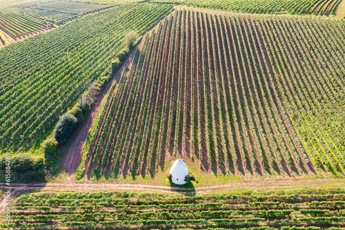 Aerial view of the vineyards near Uffhofen/Germany with a trullo
