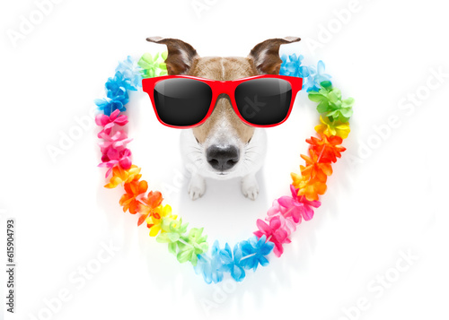 jack russell dog in love for happy valentines day with rainbow flower chain in heart shape , looking up in wide angle