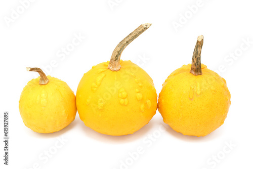 Three round orange ornamental gourds with warty lumps in different sizes, isolated on a white background