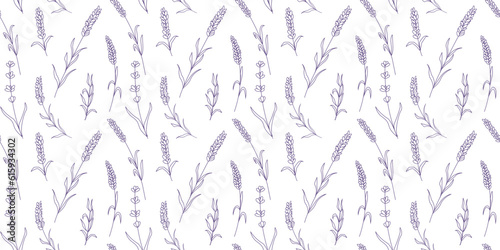 Seamless floral pattern with purple lavender. Botanical background
