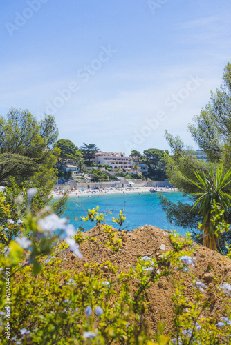 vertical sea ​​landscape trees and palm trees in a sunny summer to enjoy the sun in the coves of france