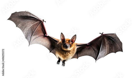 Flying bat isolated on transparent background, Generative AI