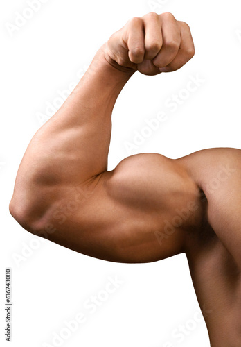 Big bicep Muscular builder man
