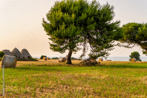 paesaggio estivo con i trulli e le balle di fieno in un campo di grano al tramonto - costa ripagnola, bari, polignano a mare, puglia, italia