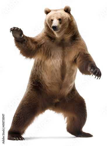 dancing grizzly bear standing, isolated background. Generative Ai