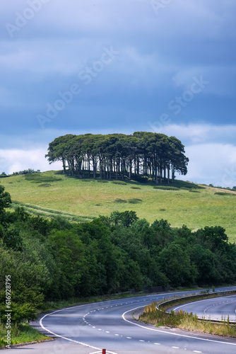 Coming home trees on the devon cornwall border england uk 