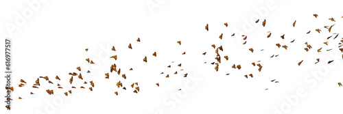 monarch butterflies, Danaus plexippus swarm isolated on transparent background banner
