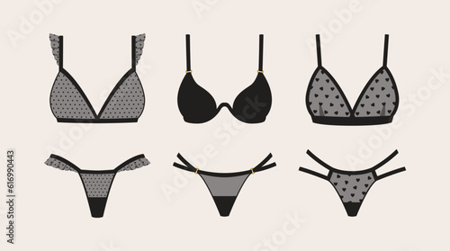 A collection of sexy lingerie for special occasions. Elegant feminine sheer bras and pants vector clip art. 